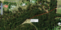 walking track to cemetry.png