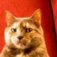 suspicious_one