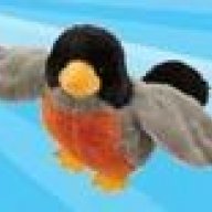 KRT_bird