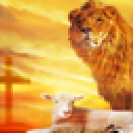 pastorpk