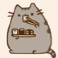 pusheen19