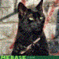 SysConfig