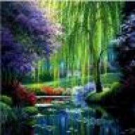 Willow Weepings