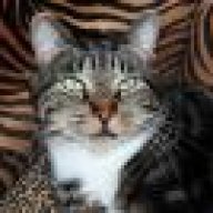 catladyjan
