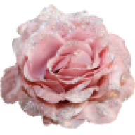 Versaille