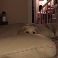 Zoe