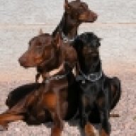 3Dobes