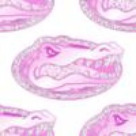 gatorchick