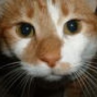 Gustavthecat