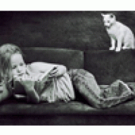 booksenkatz