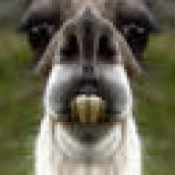 wonderllama