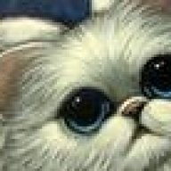 angelkitty