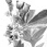 Brandish