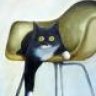 ChairCat