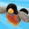 KRT_bird
