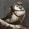 Finch