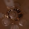theceilingfan