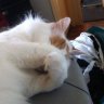 CathyNSW