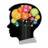 Mindboggle