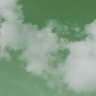 green5513