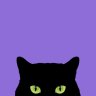 CuriousWhiskers