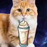 meidacat