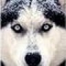 Kosmo