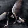 SeraPhim27