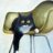 ChairCat
