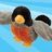 KRT_bird