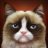 NotSoGrumpy