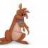 kanga