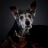 SeniorDog