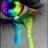 rebeccawilson124