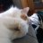 CathyNSW