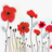 poppy8