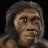Homo Habilis