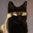 Annabel_Lo