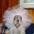 wirehair