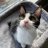 Catrol_pawficer_13z