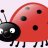 Little LadyBug
