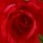 eishish