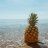 yellowpineapple