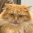 Catlady_Ellen