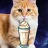 meidacat