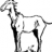 Old Gray Mare