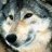 WolfTracker