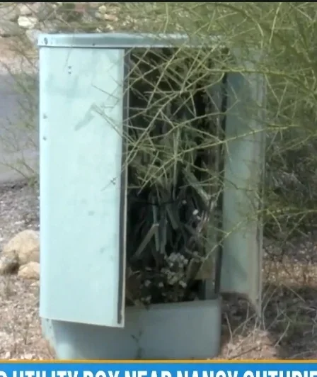 Damaged Utility Box?