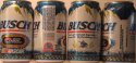 busch beer can.JPG