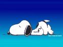 sleeping-snoopy.jpg